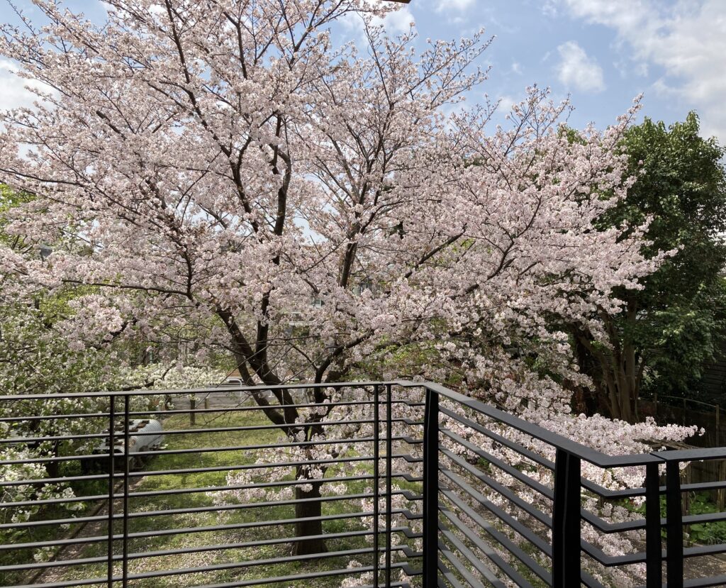 社会福祉法人南山会 | 喜多見ホーム | 東京都世田谷区