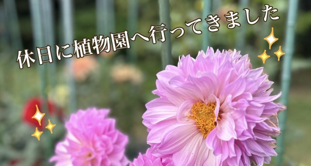 社会福祉法人南山会 | 喜多見ホーム | 東京都世田谷区