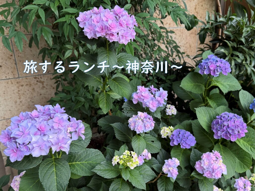 社会福祉法人南山会 | 喜多見ホーム | 東京都世田谷区