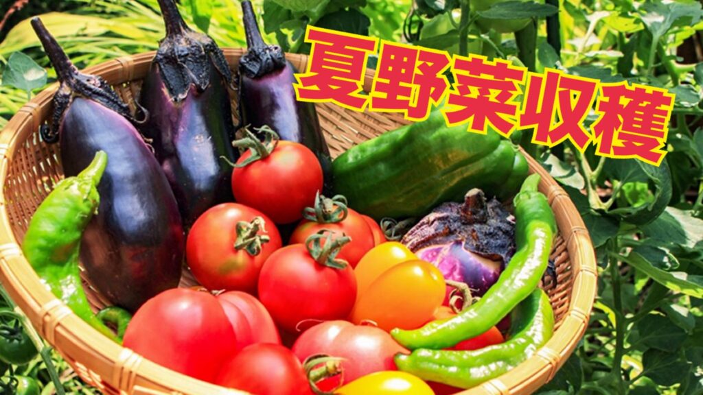 社会福祉法人南山会 | 喜多見ホーム | 東京都世田谷区
